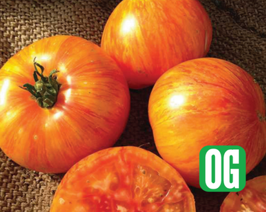 Beauty King Tomato Seeds